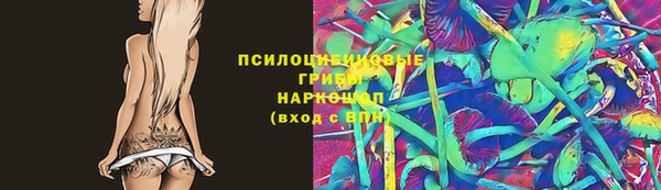 спайс Баксан