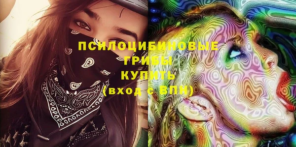 спайс Баксан