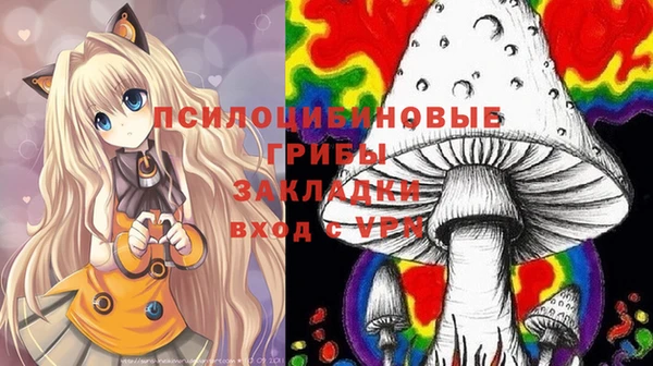спайс Баксан