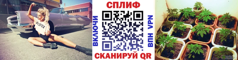 Бошки Шишки White Widow  Солигалич 